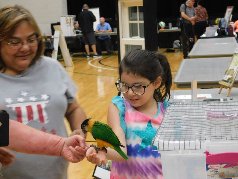 Residents gather downtown for Saturday fun